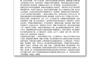 紀委書記履行全面從嚴治黨責任落實“一崗雙責”情況匯報
