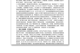 20xx年度黨委委員履行全面從嚴(yán)治黨主體責(zé)任情況的報(bào)告3篇