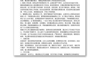 不忘初心牢記使命主題教育批評與自我批評