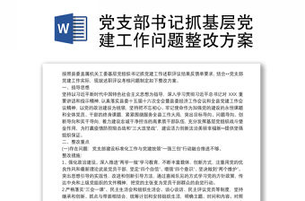 黨支部書記抓基層黨建工作問題整改方案