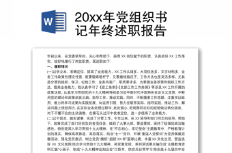 2023年党组织书记述职报告