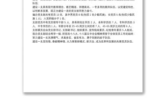 黨支部基本情況怎么寫3篇