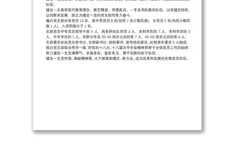 黨支部基本情況怎么寫3篇