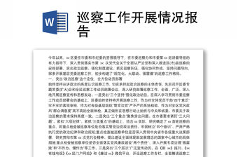 巡察工作開展情況報告