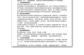 星級(jí)黨支部自查自評(píng)報(bào)告