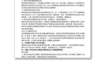 20xx年度學校黨支部書記抓黨建工作述職報告三篇