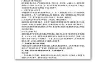 20xx年度學(xué)校黨支部書記抓黨建工作述職報告三篇