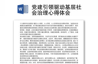 黨建引領驅(qū)動基層社會治理心得體會