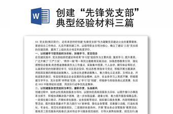 創建“先鋒黨支部”典型經驗材料三篇