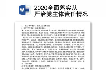 2020全面落實(shí)從嚴(yán)治黨主體責(zé)任情況