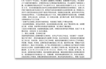 2020全面落實(shí)從嚴(yán)治黨主體責(zé)任情況