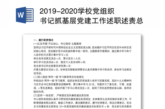 2022年学校党组织书记抓党建基层工作述职报告