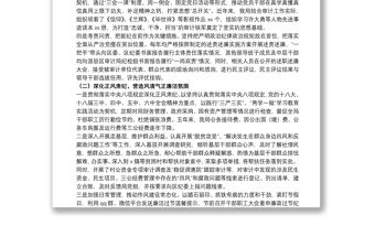 審計局關于落實全面從嚴治黨主體責任和監督責任的總結報告