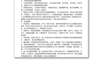 全新個(gè)人查擺問(wèn)題整改清單