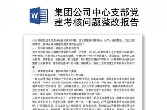 集團公司中心支部黨建考核問題整改報告
