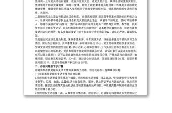 關于開展嚴肅黨的組織生活專項檢查自查報告