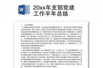 20xx年支部黨建工作半年總結