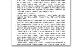 20xx年上半年醫(yī)院黨建工作匯報