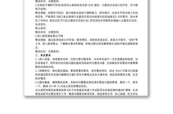 黨支部書記抓基層黨建工作述職評議考核問題整改方案3篇