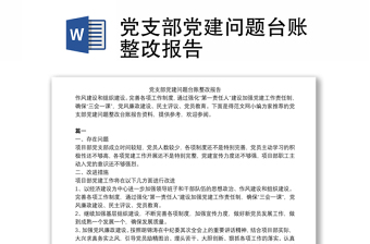黨支部黨建問題臺賬整改報告