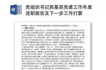 黨組織書記抓基層黨建工作年度述職報告及下一步工作打算