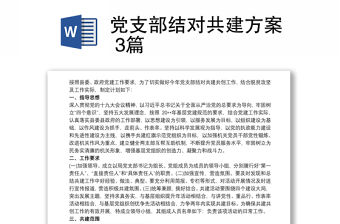 黨支部結對共建方案 3篇