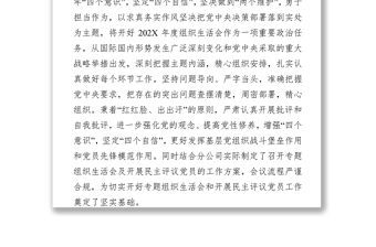 公司黨支部召開專題組織生活會和開展民主評議黨員工作情況報告