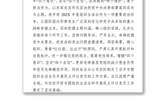 公司黨支部召開專題組織生活會和開展民主評議黨員工作情況報告