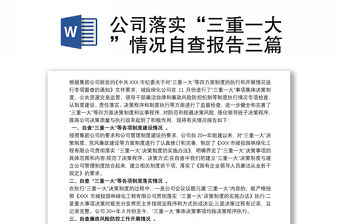 公司落實“三重一大”情況自查報告三篇