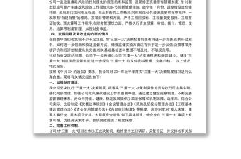 公司落實“三重一大”情況自查報告三篇