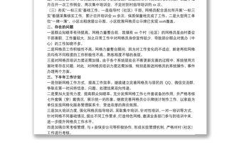 2021鄉(xiāng)鎮(zhèn)流管辦、綜治中心（含網(wǎng)格中心）20xx年上半年工作總結(jié)及下半年工作計(jì)劃