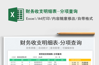 2021財(cái)務(wù)收支明細(xì)表-分項(xiàng)查詢免費(fèi)下載