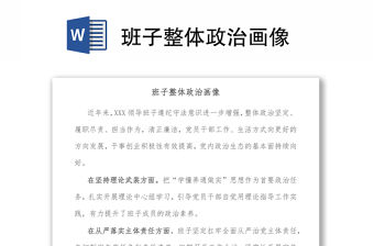 班子整體政治畫像