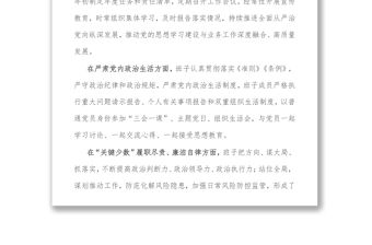 班子整體政治畫像