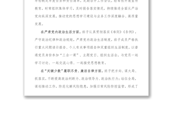 班子整體政治畫(huà)像