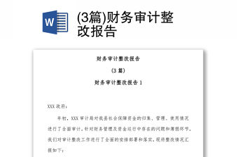 (3篇)財務審計整改報告