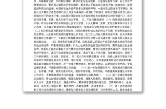 2019年度組織生活會機關黨支部書記個人發言提綱