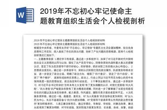 2019年不忘初心牢記使命主題教育組織生活會個人檢視剖析材料