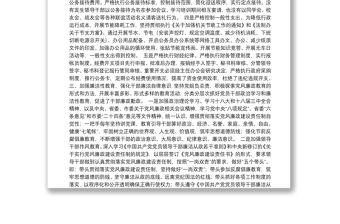 全面落實(shí)從嚴(yán)治黨主體責(zé)任情況報(bào)告