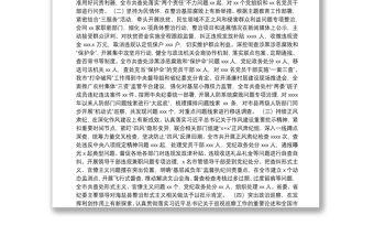 紀委監委紀檢監察工作總結及工作計劃（市級）