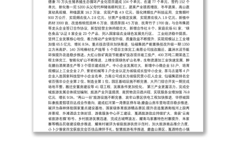 （云南省）2019年新平彝族傣族自治县人民政府工作报告