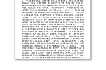2019年度專題組織生活會個人對照檢查材料