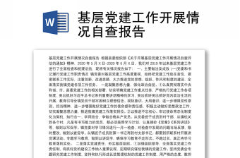 基層黨建工作開展情況自查報告
