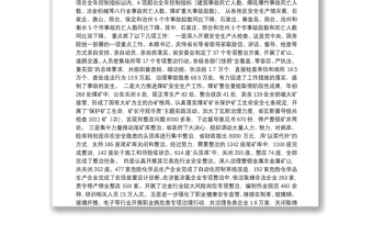刘宝玲局长：在全省安全生产工作会议上的讲话(2)