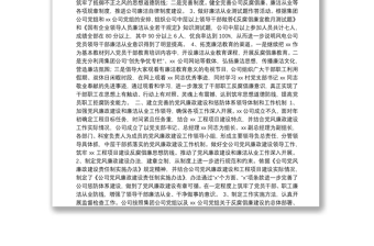 公司紀(jì)檢工作總結(jié)