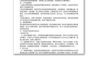 XX黨支部自評報告