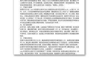 黨委中心組理論學(xué)習(xí)總結(jié)