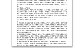 安全標(biāo)準(zhǔn)化工作匯報