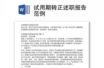 試用期轉正述職報告范例