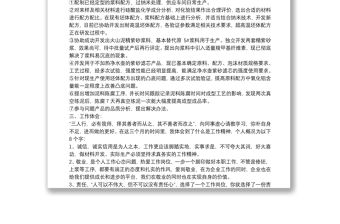 試用期轉正述職報告范例